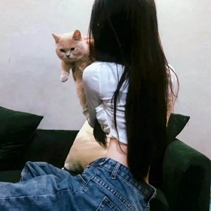 牙狼:魔戒之花